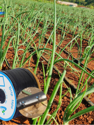 1 ha Drip Line 2 3 Hectares Anti-aging Drip Irrigation Blind Pipes Fruit Trees Farms 1000m Drip Irrigation Pipes