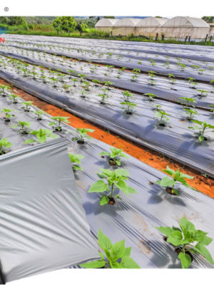 1 2 3 5 Gallon UV Plastic Grow Bags for Plants Agriculture Watermelon Tomato Grow Bags Strawberry